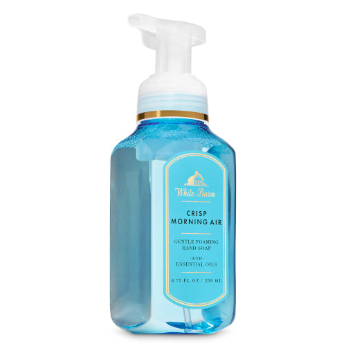 Crisp Morning Air Hand Soap 259ml
