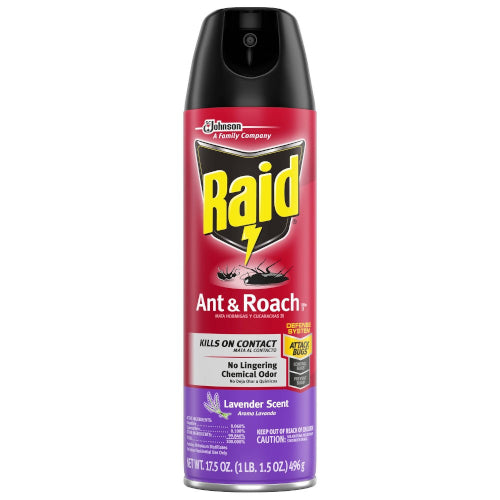 Raid Ant & Roach 496g