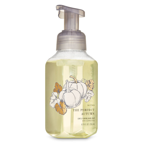 The Perfect Autumn Hand Soap 259ml